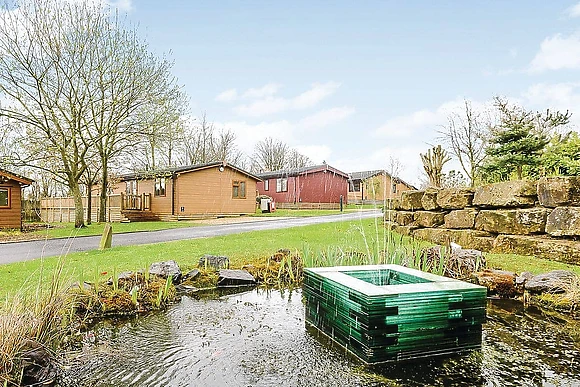 The park setting<br />