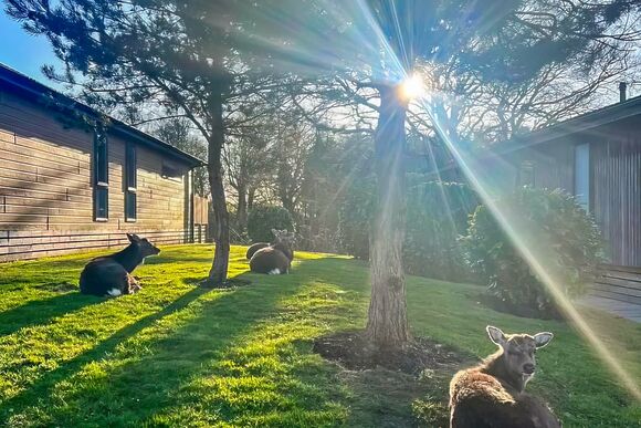 Morland Lodge - Ribblesdale Lodges, Gisburn, Yorkshire Dales