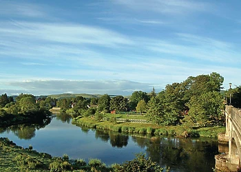 The park setting