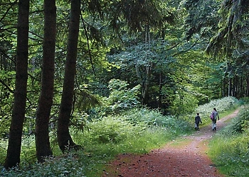 River Edge Lodges, Bridge of Earn, Perth