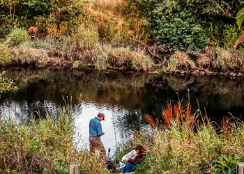 River Edge Lodges, Bridge of Earn, Perth