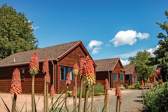 River Edge Lodges