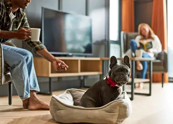 Rivendale Lodge Retreat, Ashbourne