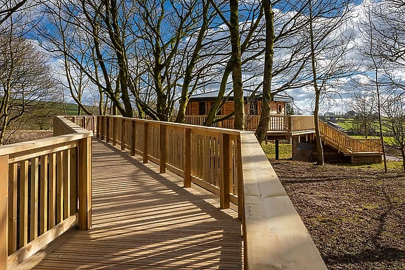 Tissington Treehouses 