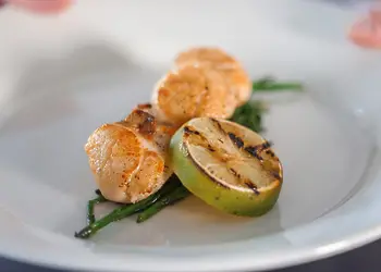 Mercury Yacht Harbour and Holiday Park, Hamble