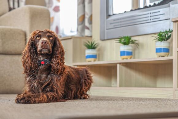 Lowford Caravan - Mercury Yacht Harbour and Holiday Park, Hamble