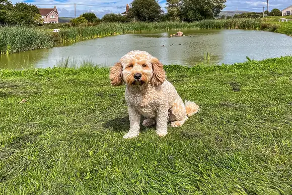 Rookery Manor Cottages, Edingworth, Weston-super-Mare
