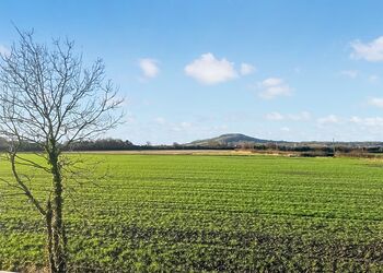 Cedar Lodge - Rookery Manor Lodges, Edingworth