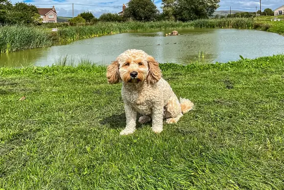 Rookery Manor Lodges, Edingworth