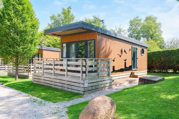 Glamping Hive Pet - Wild Rose Holiday Park, Ormside, Appleby-in-Westmorland