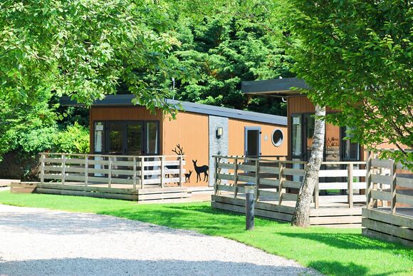 Glamping Hive Pet - Wild Rose Holiday Park, Ormside, Appleby-in-Westmorland