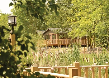 The park setting<br />