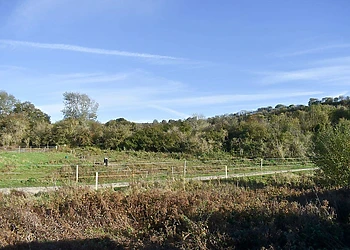 Riverside Holiday Park, Amberley