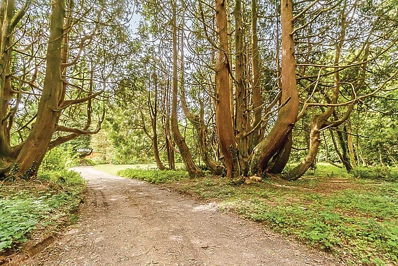 The park setting<br />