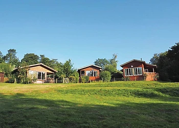 The park setting 