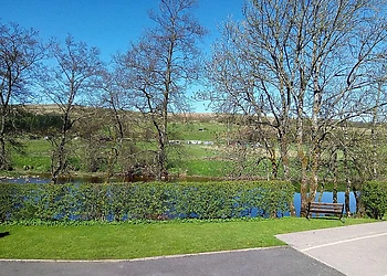 Park Setting 