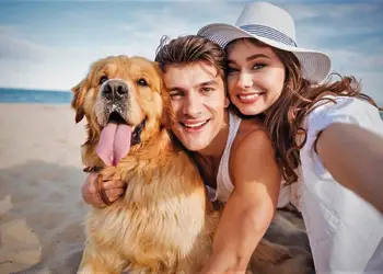 Ryan Bay Holiday Park, Innermessan, Dumfries and Galloway