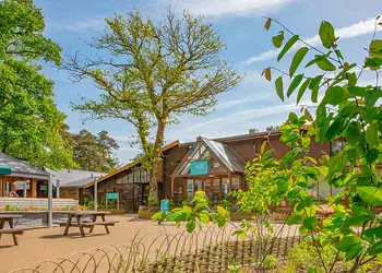 Sandy Balls Holiday Village, Godshill, Fordingbridge