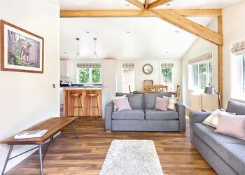 Willow 3 Spa (Pet) - Sandybrook Lodges, Ashbourne