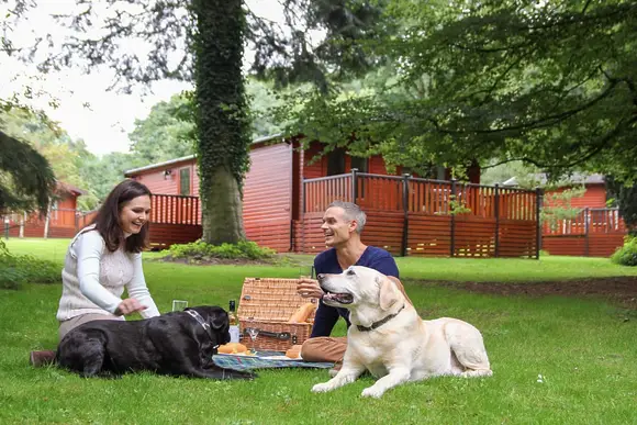 Sandybrook Lodges, Ashbourne