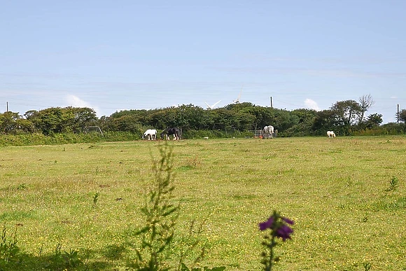 St Agnes Holiday Park, Blackwater, St Agnes