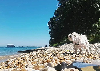 Salterns Village, Seaview