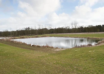 Saxon Mound, Elsworth, near Cambridge