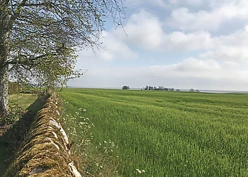 Views from the park<br />