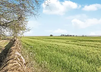 Views from the park<br />