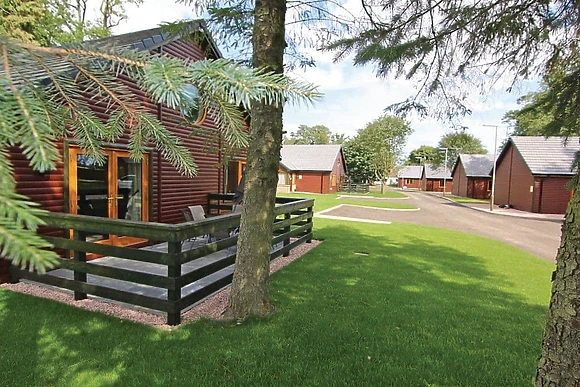 The park setting<br />