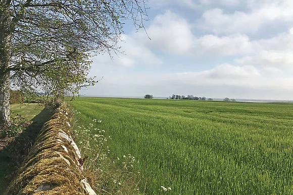 Views from the park<br />