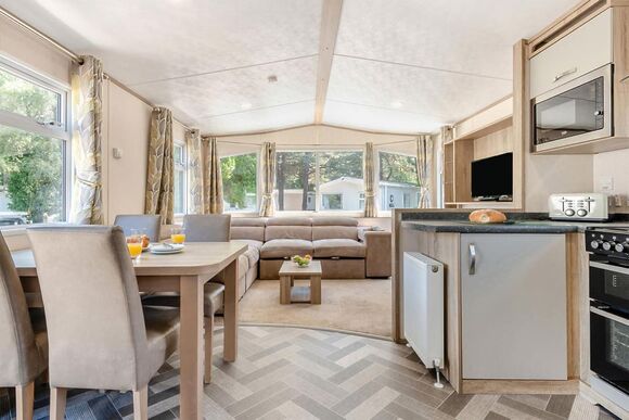 Silver Premium Caravan with parking - Sandford, Sandford, Poole