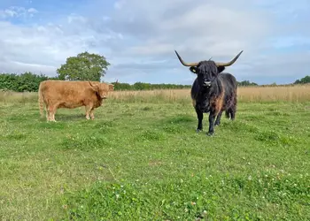 Scarborough Lodge Retreat, Scarborough