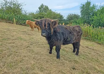 Scarborough Lodge Retreat, Scarborough