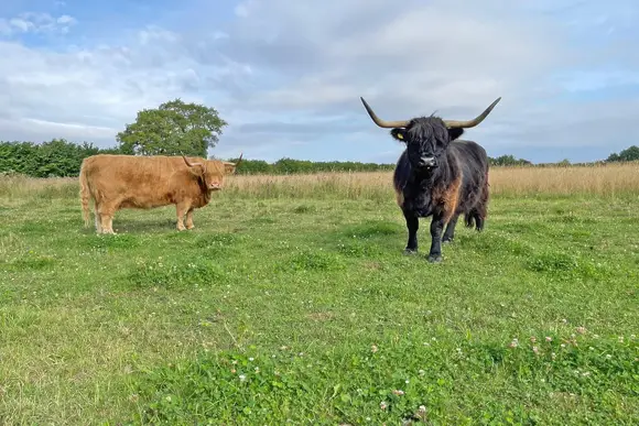 Scarborough Lodge Retreat, Scarborough