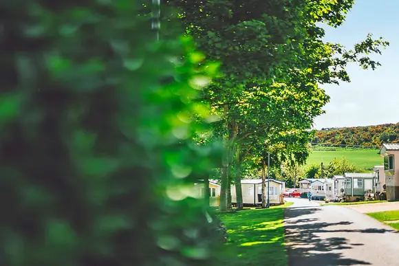 Scoutscroft Holiday Park, Coldingham, Nr Eyemouth