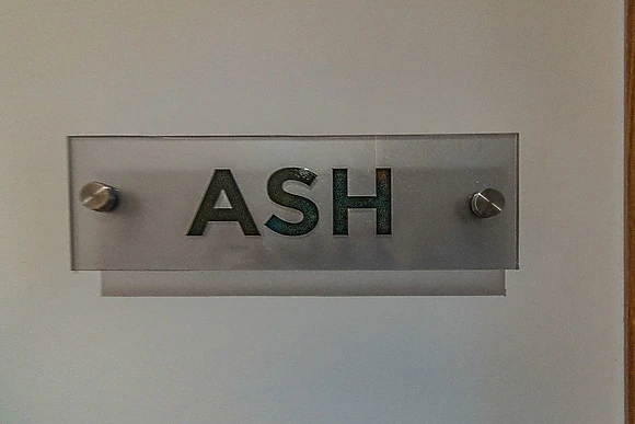 Ash Apartment 