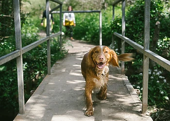 Sun Haven Holiday Park, Mawgan Porth, Nr Newquay
