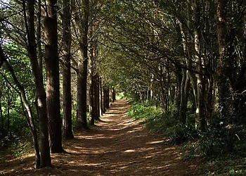 Sun Haven Holiday Park, Mawgan Porth, Nr Newquay