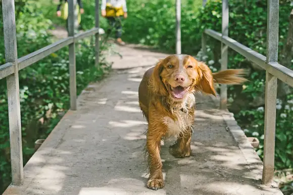 Sun Haven Holiday Park, Mawgan Porth, Nr Newquay