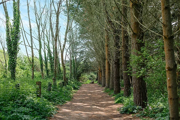 Sun Haven Holiday Park, Mawgan Porth, Nr Newquay