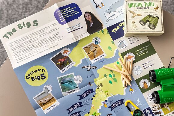 Superior 2 Bed - Sun Haven Holiday Park, Mawgan Porth, Nr Newquay