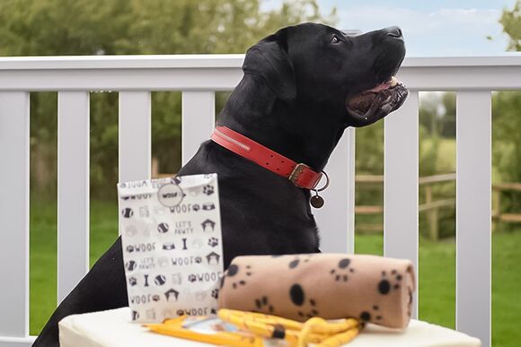 Superior 3 Bed (Pet) - Sun Haven Holiday Park, Mawgan Porth, Nr Newquay