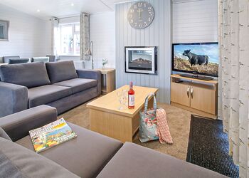 Superior Lodge Plus 2 (Pet) - Shorefield Country Park, Milford-on-Sea, Nr Lymington