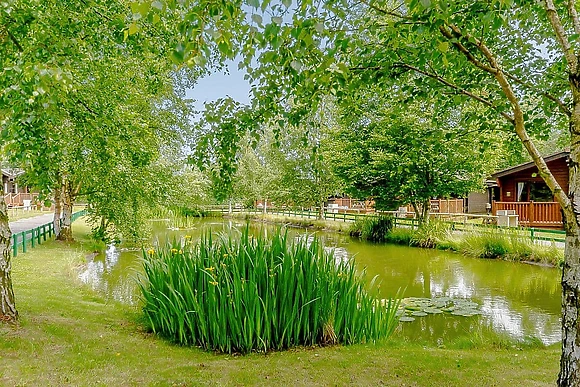 Sherwood Castle Holiday Forest, Sherwood Forest, Rufford