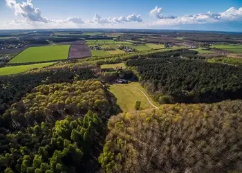 Sherwood Forest Lodges, Sherwood Forest, Nr Edwinstowe