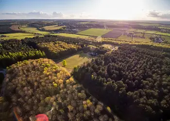 Sherwood Forest Lodges, Sherwood Forest, Nr Edwinstowe