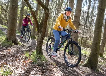 Sherwood Forest Lodges, Sherwood Forest, Nr Edwinstowe