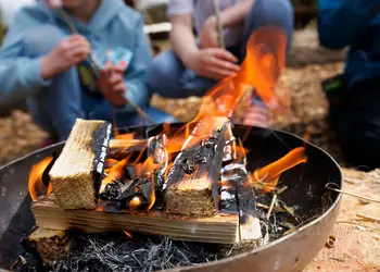 Sherwood Forest Lodges, Sherwood Forest, Nr Edwinstowe