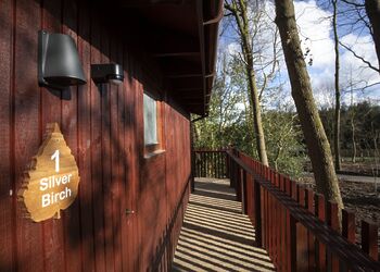 Silver Birch 2 WF (Pet) - Sherwood Forest Lodges, Sherwood Forest, Nr Edwinstowe